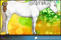 Horse Color:Black Pearl Sabino