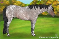 Horse Color:Bay Ice Roan 
