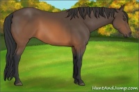 Horse Color:Brown 