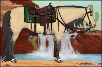 Horse Color:Buckskin Dun 