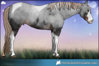Horse Color:Liver Chestnut Sabino Tobiano 