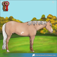 Horse Color:Silver Amber Champagne Frame 