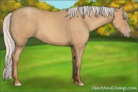 Horse Color:Silver Amber Champagne Frame 