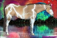 Horse Color:Sable Champagne Sabino 