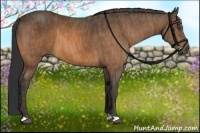 Horse Color:Buckskin  Brindle