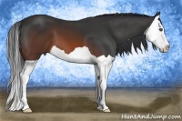 Horse Color:Brown Splash 