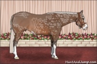 Horse Color:Silver Brown Ice Sabino 