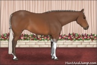 Horse Color:Silver Brown Tobiano 