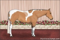 Horse Color:Silver Bay Tobiano