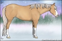 Horse Color:Silver Amber Champagne Splash