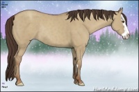 Horse Color:Classic Champagne Dun Sabino Splash Frame Rabicano 