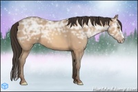 Horse Color:Amber Champagne Ice Sabino Splash 