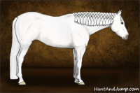 Horse Color:Gray White Spotted Red Dun Appaloosa 