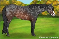 Horse Color:Brown Ice Splash Frame