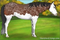 Horse Color:Bay Ice Splash 