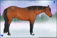 Horse Color:Brown 
