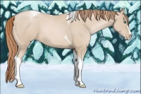 Horse Color:Smoky Black Pearl Splash Tobiano