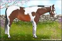 Horse Color:Bay Splash Tobiano