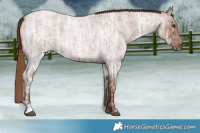 Horse Color:Red Ice Roan 