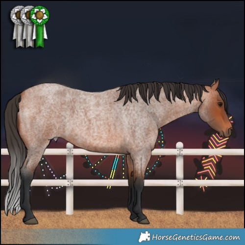 Horse Color:Bay Roan 