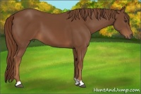Horse Color:Chestnut Frame