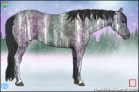 Horse Color:Black Ice 