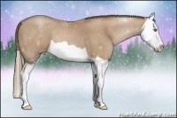 Horse Color:Black Pearl Splash 