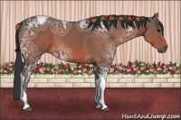 Horse Color:Bay Ice Sabino Tobiano