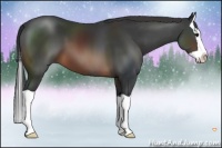 Horse Color:Brown Splash