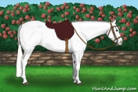 Horse Color:Silver Buckskin Tobiano Appaloosa