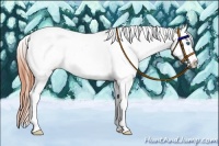 Horse Color:Amber Champagne Splash Tobiano Snowcap 