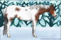 Horse Color:Bay Sabino Tobiano Frame