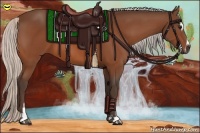 Horse Color:Silver Bay Sabino 