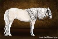 Horse Color:Silver Smoky Black Ice Pearl Sabino Splash Rabicano