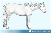 Horse Color:Silver Black Sabino 