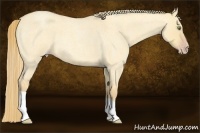Horse Color:Gold Champagne Roan Dun 