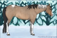 Horse Color:Bay Roan Dun Splash Tobiano 