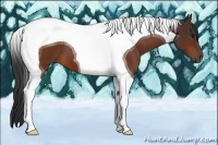 Horse Color:Bay Tobiano 