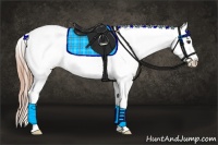 Horse Color:Chestnut Blanket 