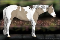 Horse Color:Classic Cream Champagne Splash Tobiano 