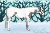 Horse Color:Grullo Splash Tobiano Frame 