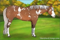 Horse Color:White Spotted Silver Bay Splash