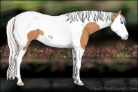 Horse Color:Silver Bay Splash Tobiano 