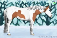 Horse Color:Bay Roan Splash Tobiano 