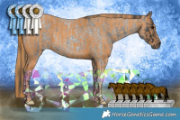 Horse Color:Blue Roan Rabicano  Brindle