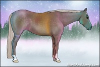 Horse Color:Silver Black 