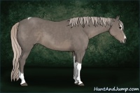 Horse Color:Silver Black Sabino Tobiano