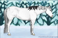 Horse Color:Black Sabino