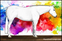 Horse Color:Gray Black 