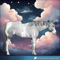Horse Color:Black Sabino Tobiano 